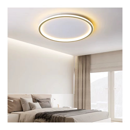 Home Decoration Ceiling Led Room Light Furniture Commercial Furniture Hotel Furniture House Bedroom with Hallway Entrance Hall