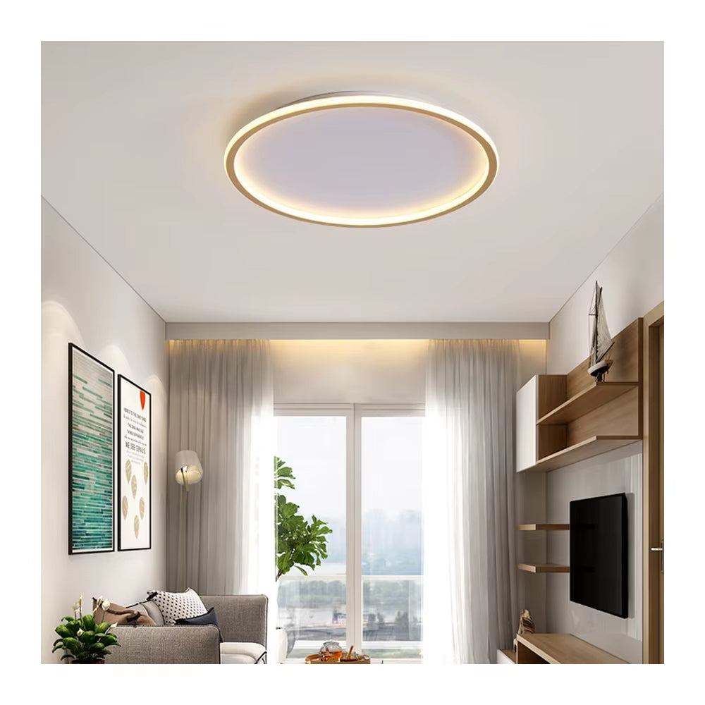 Home Decoration Ceiling Led Room Light Furniture Commercial Furniture Hotel Furniture House Bedroom with Hallway Entrance Hall