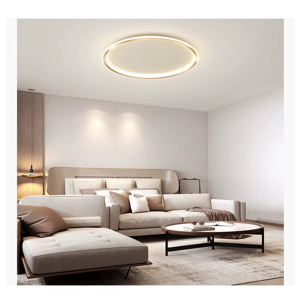 Home Decoration Ceiling Led Room Light Furniture Commercial Furniture Hotel Furniture House Bedroom with Hallway Entrance Hall